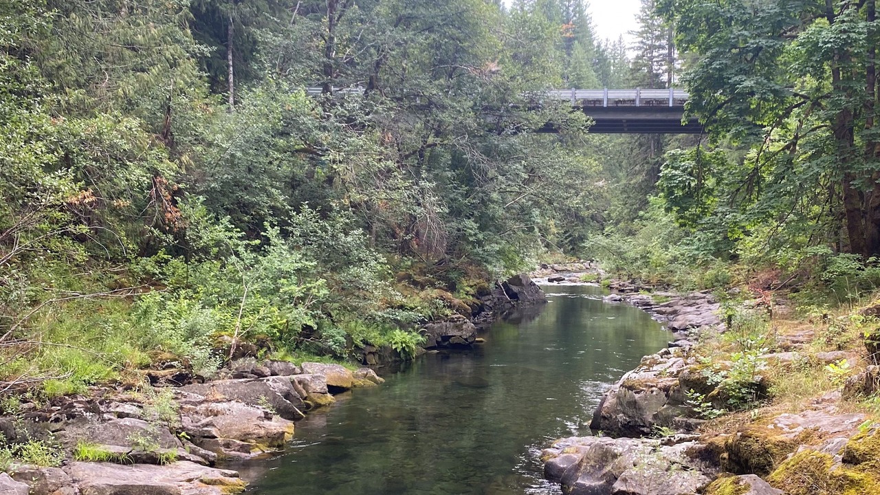 Photo of Others in Carson