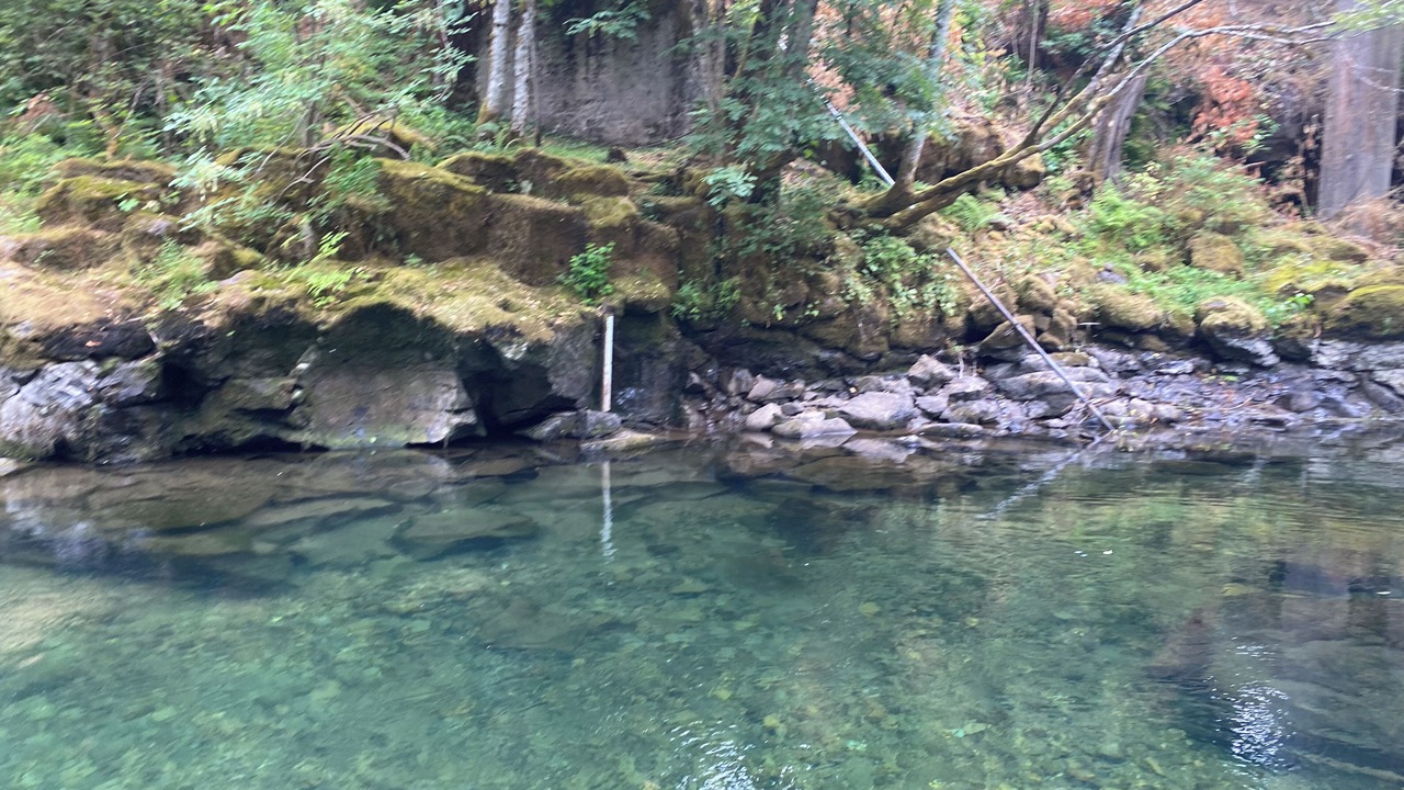 Photo of Others in Carson