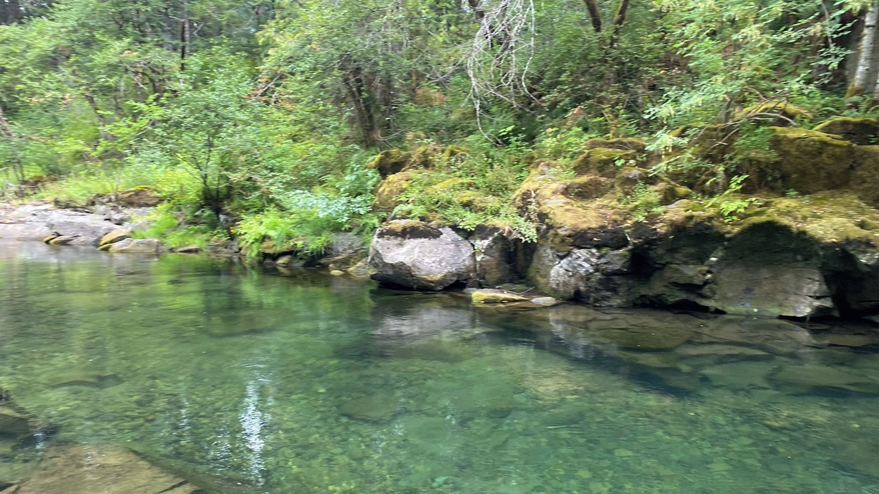 Photo of Others in Carson