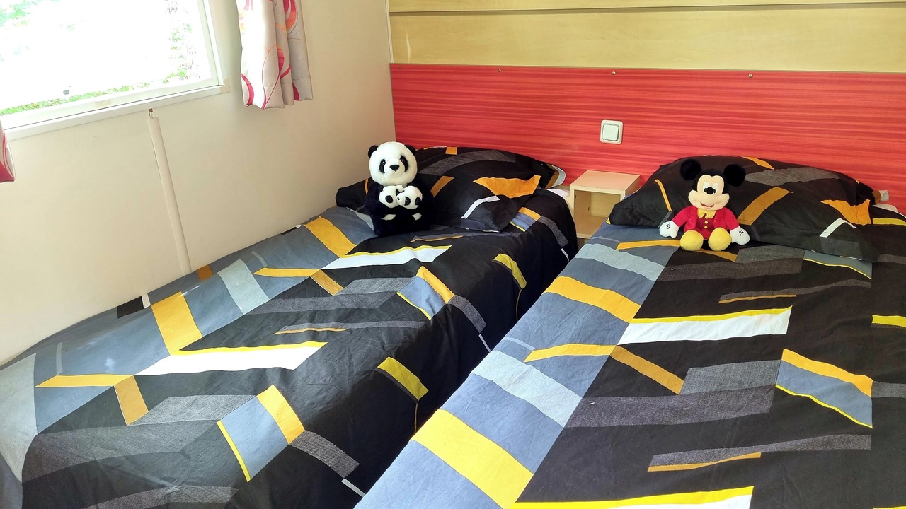 Photo of Others in Nibelle