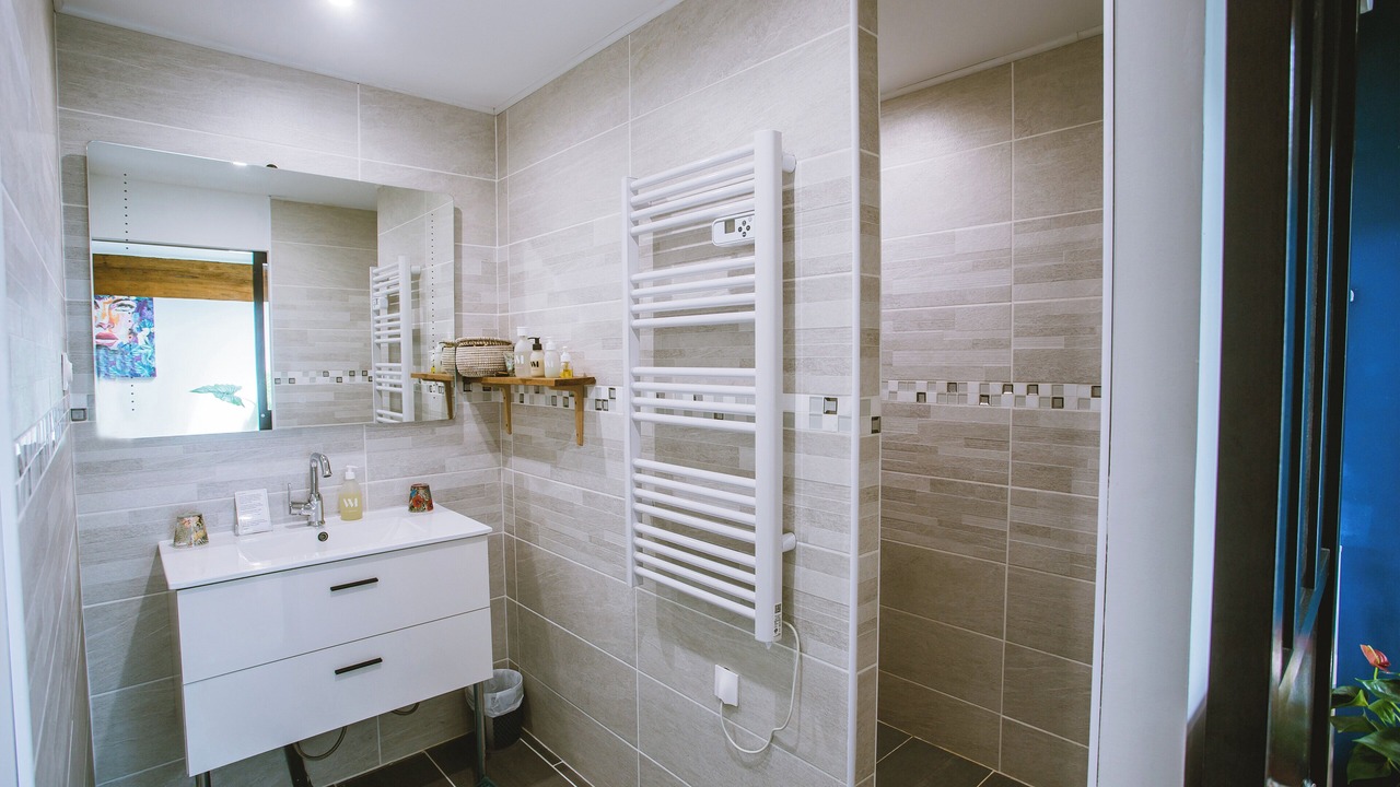 Photo of Bathroom in Monestier