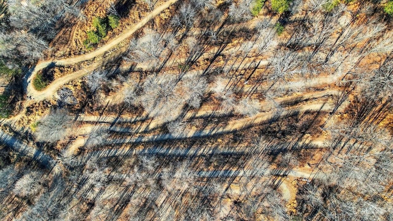 Photo of Others in Monroe