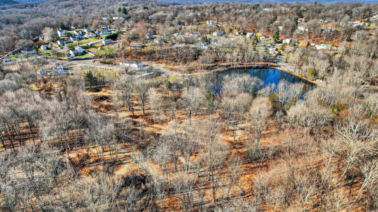 Photo of Others in Monroe