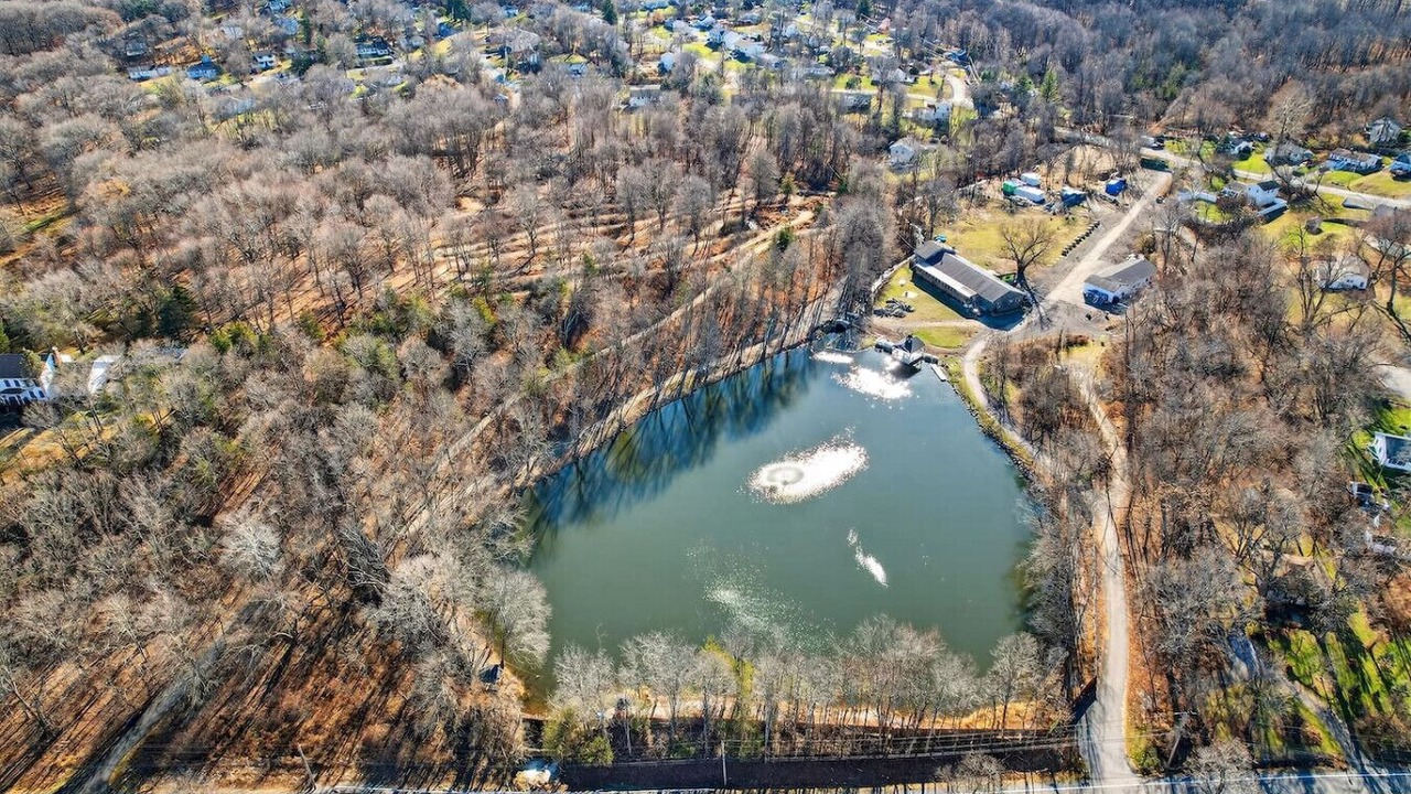 Photo of Others in Monroe