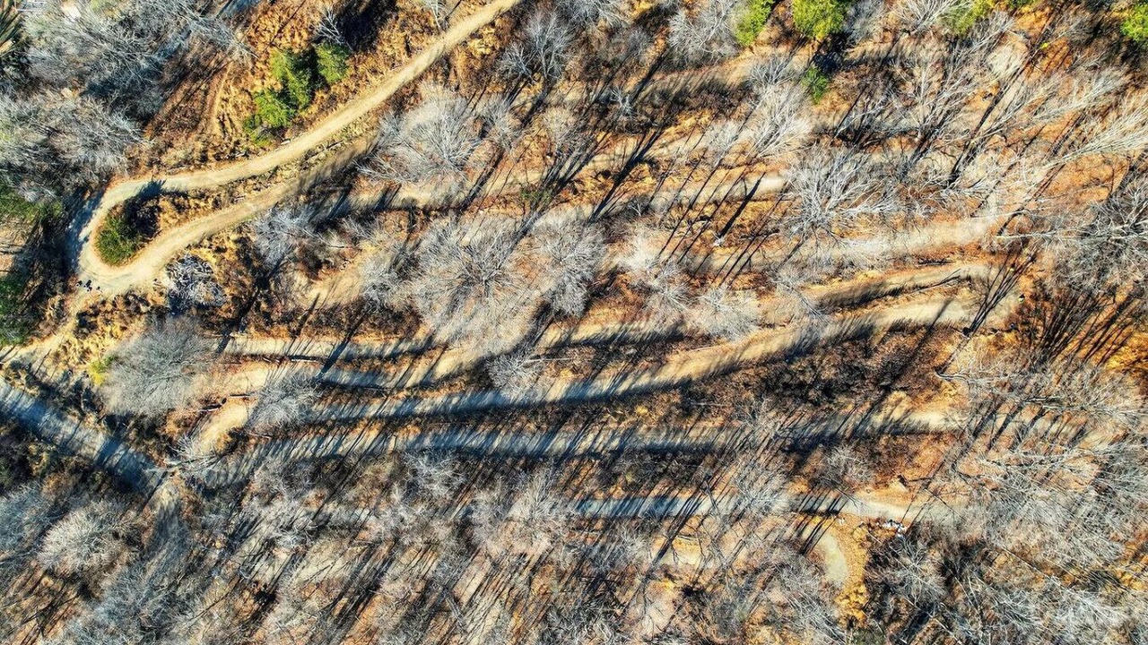 Photo of Others in Monroe