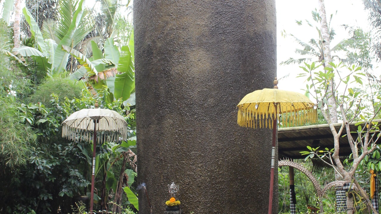 Photo of Outdoor in Payangan