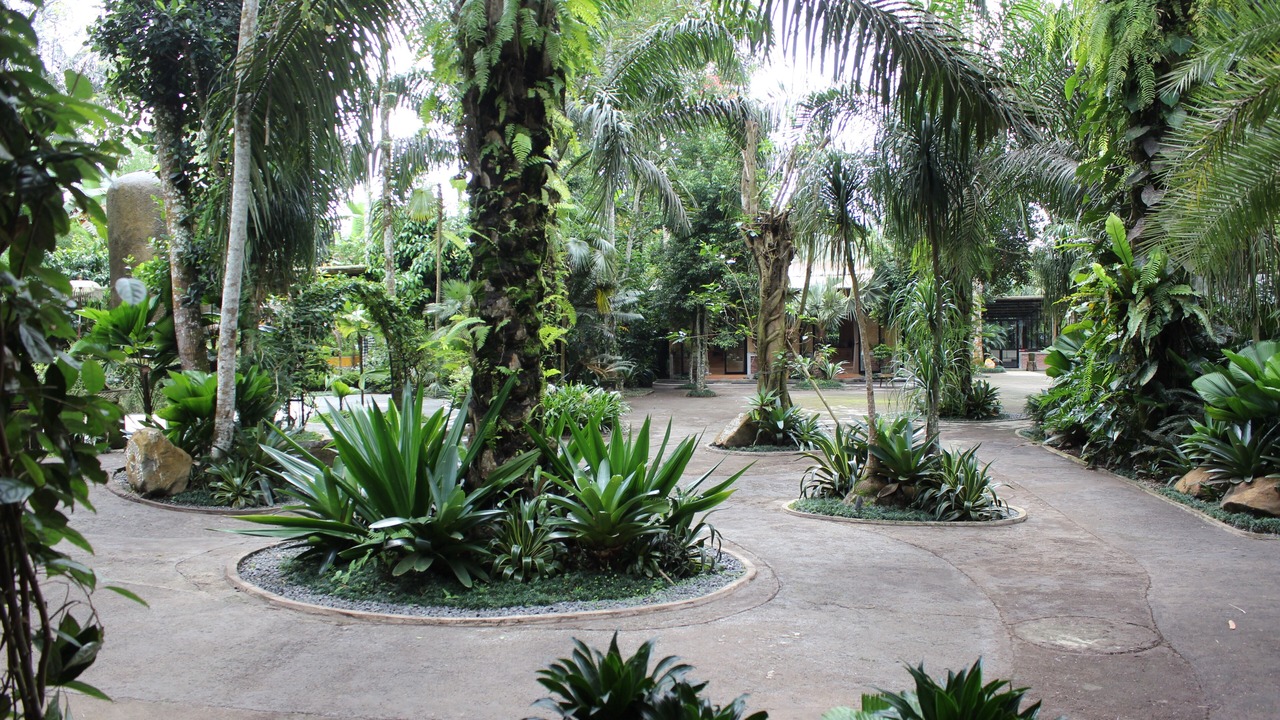 Photo of Outdoor in Payangan