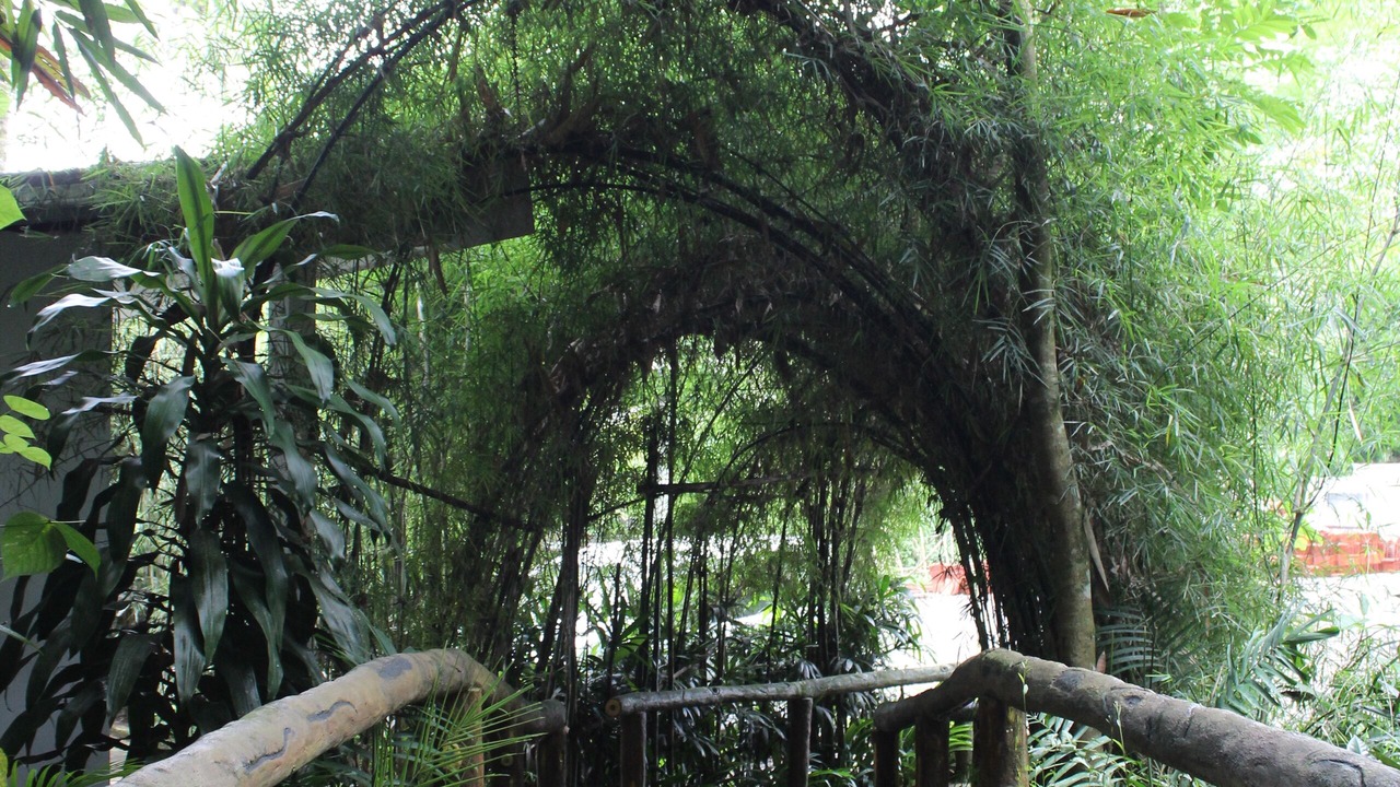 Photo of Outdoor in Payangan