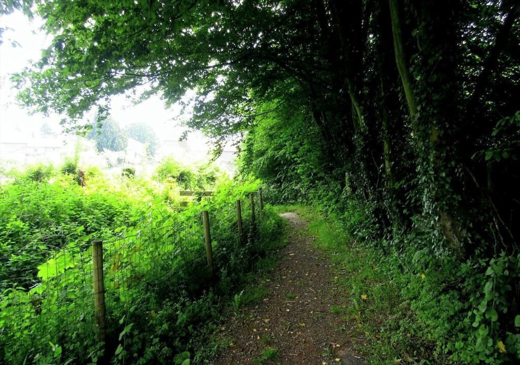 Photo of Outdoor in Beaufort