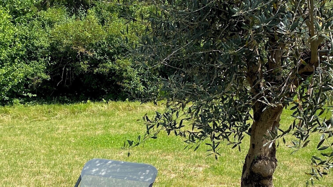 Photo of Outdoor in Saint-Didier-sur-Chalaronne