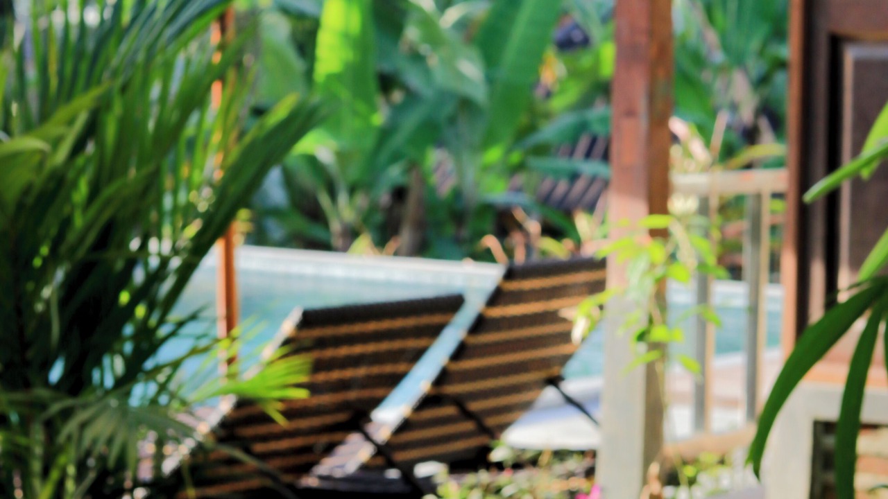 Photo of Others in Nungnung