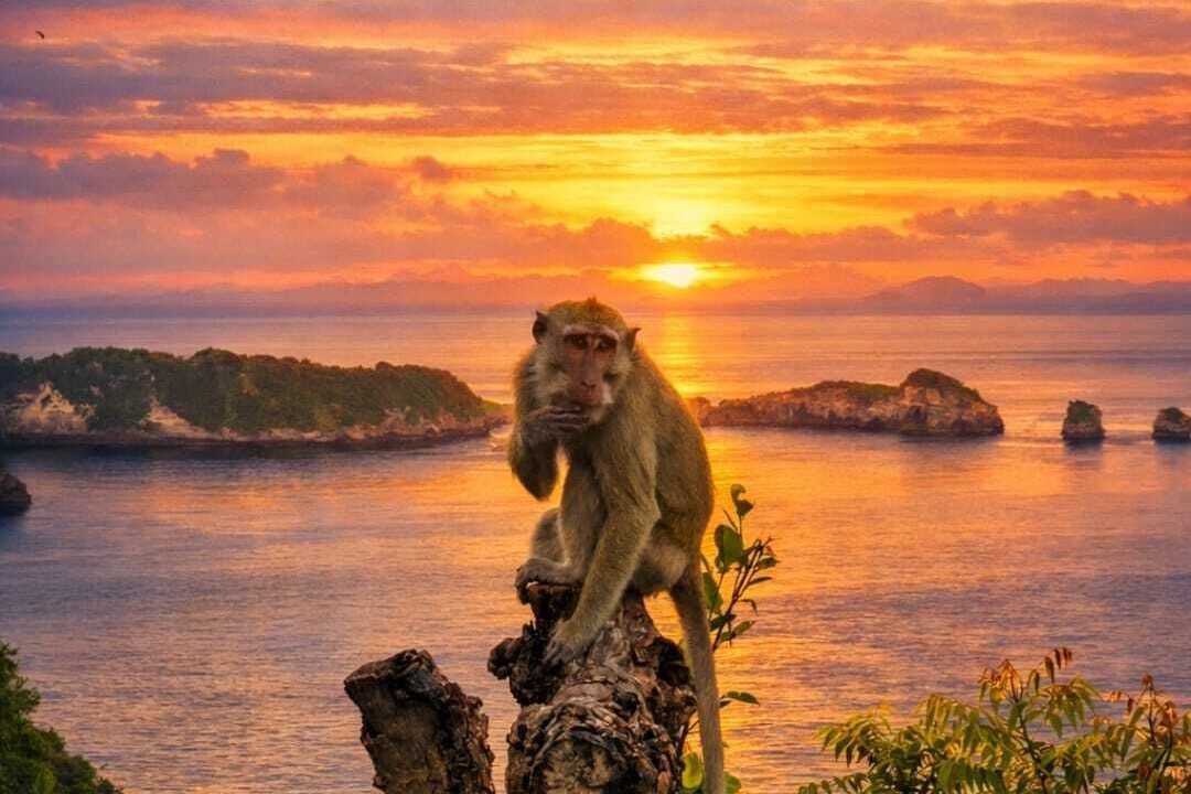 Photo of Outdoor in Penida Island