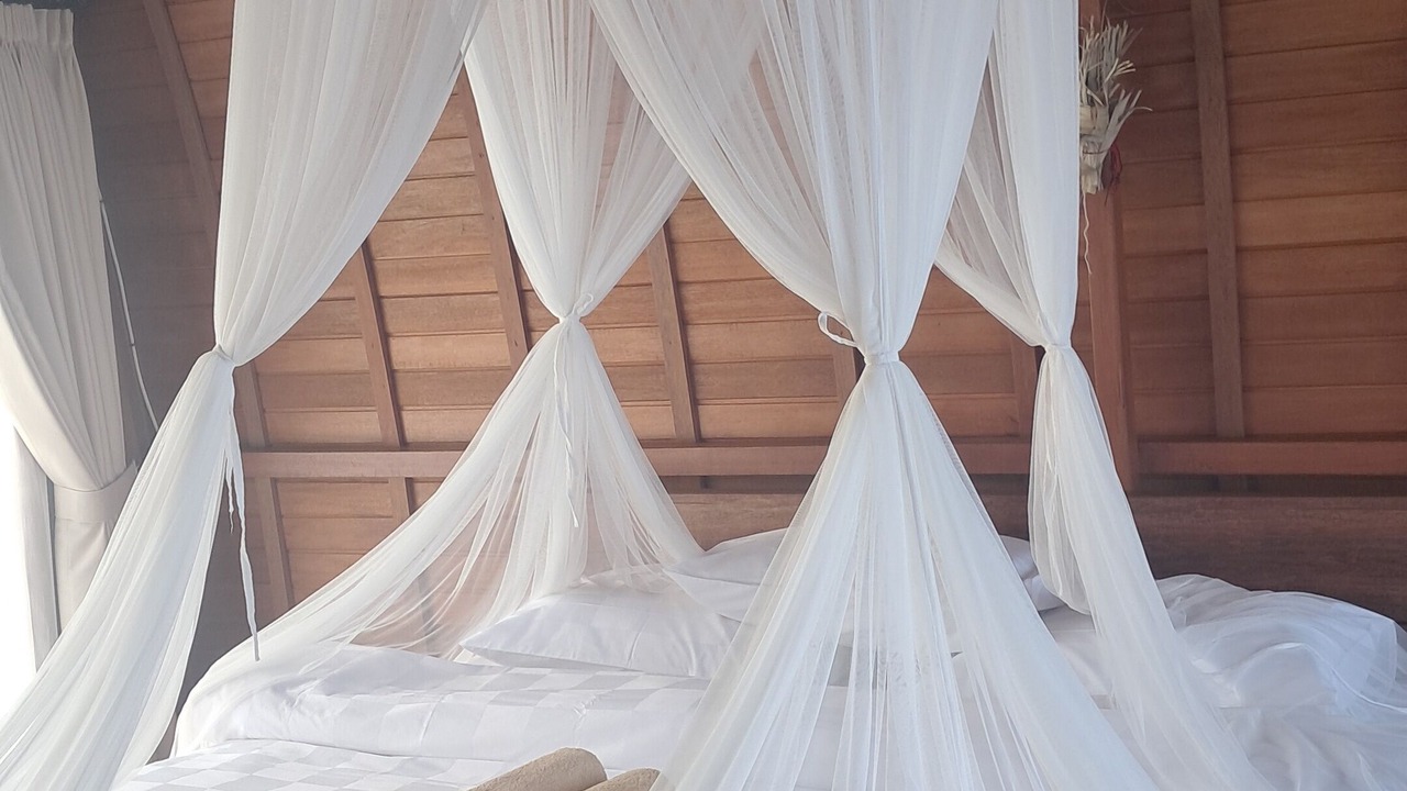 Photo of Others in Penida Island