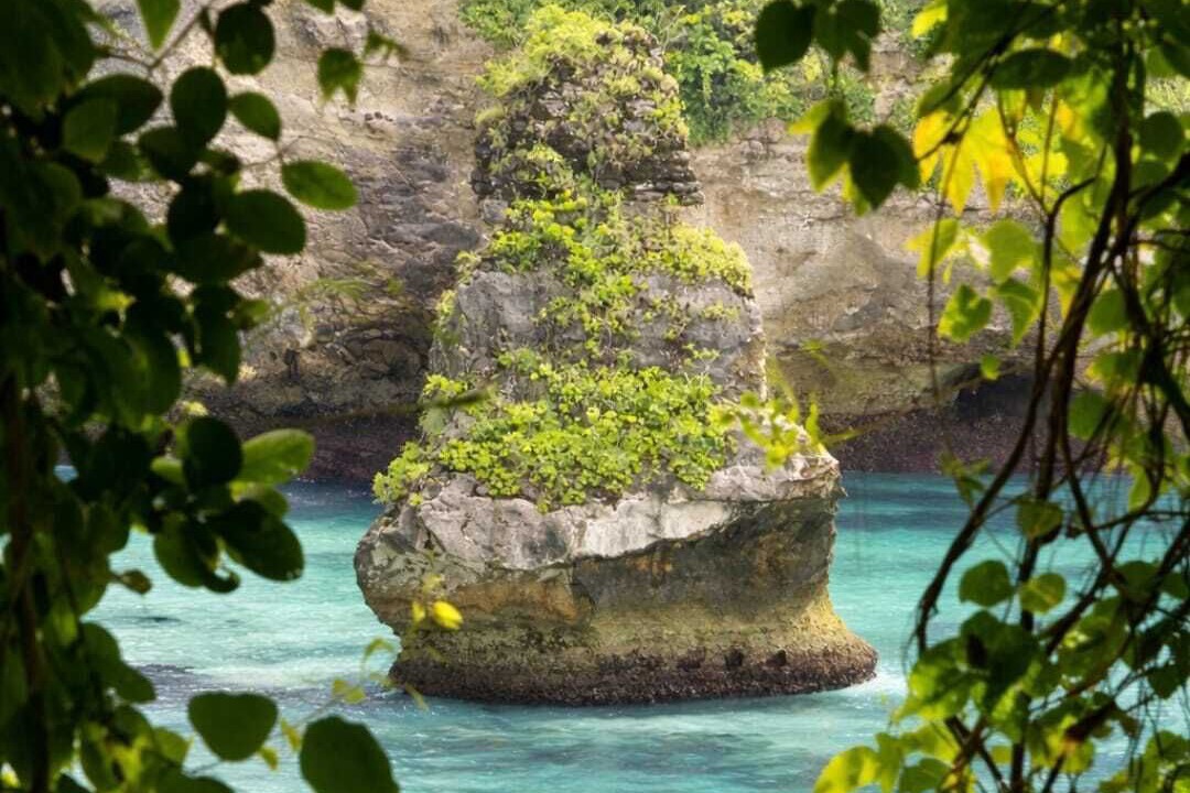 Photo of Outdoor in Penida Island