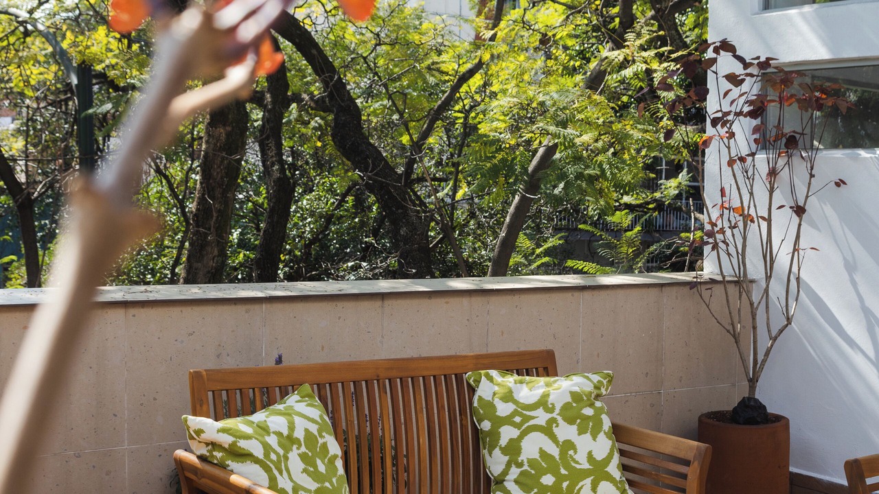 Photo of Outdoor in La Condesa