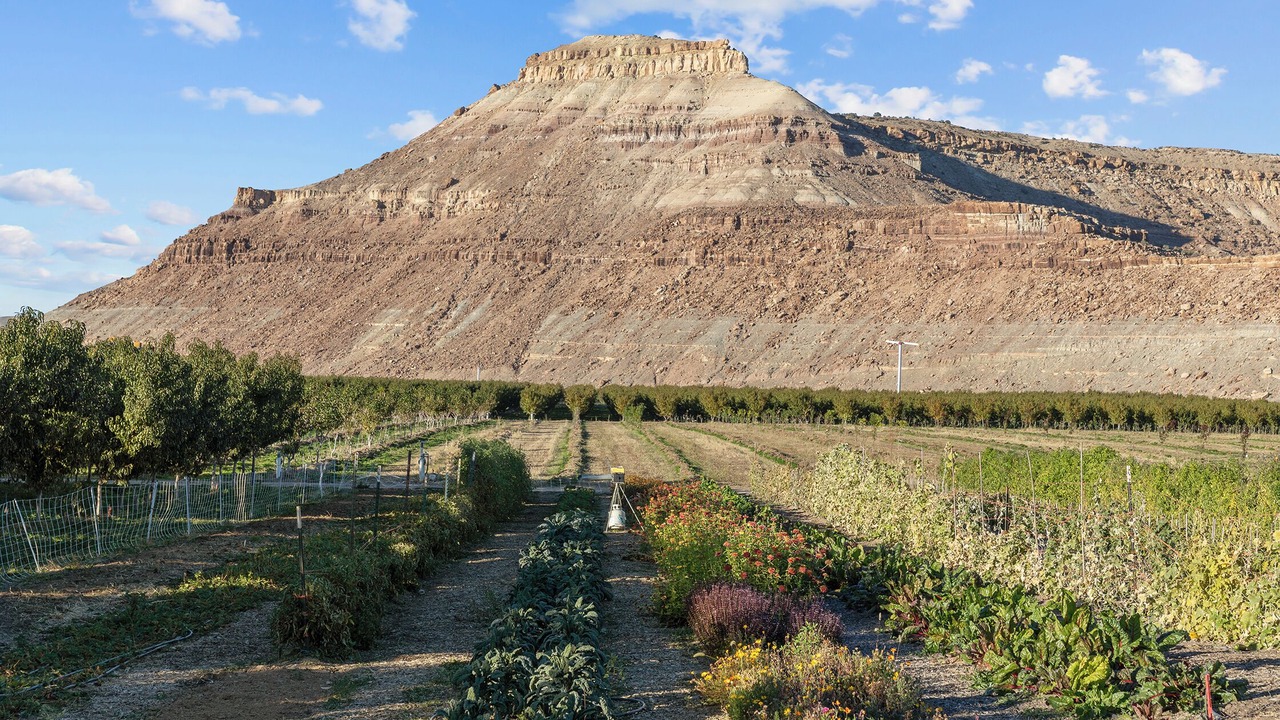 Photo of Outdoor in Delta