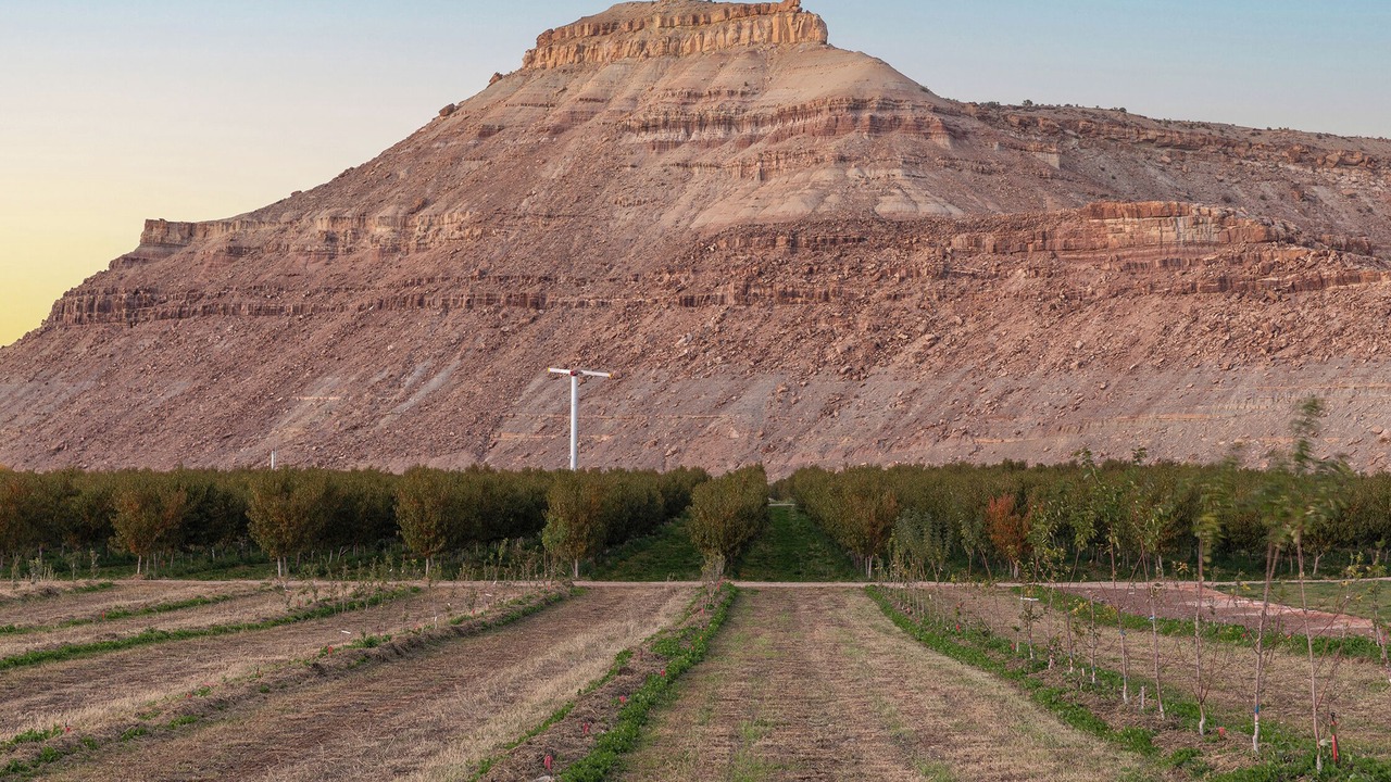 Photo of Outdoor in Delta