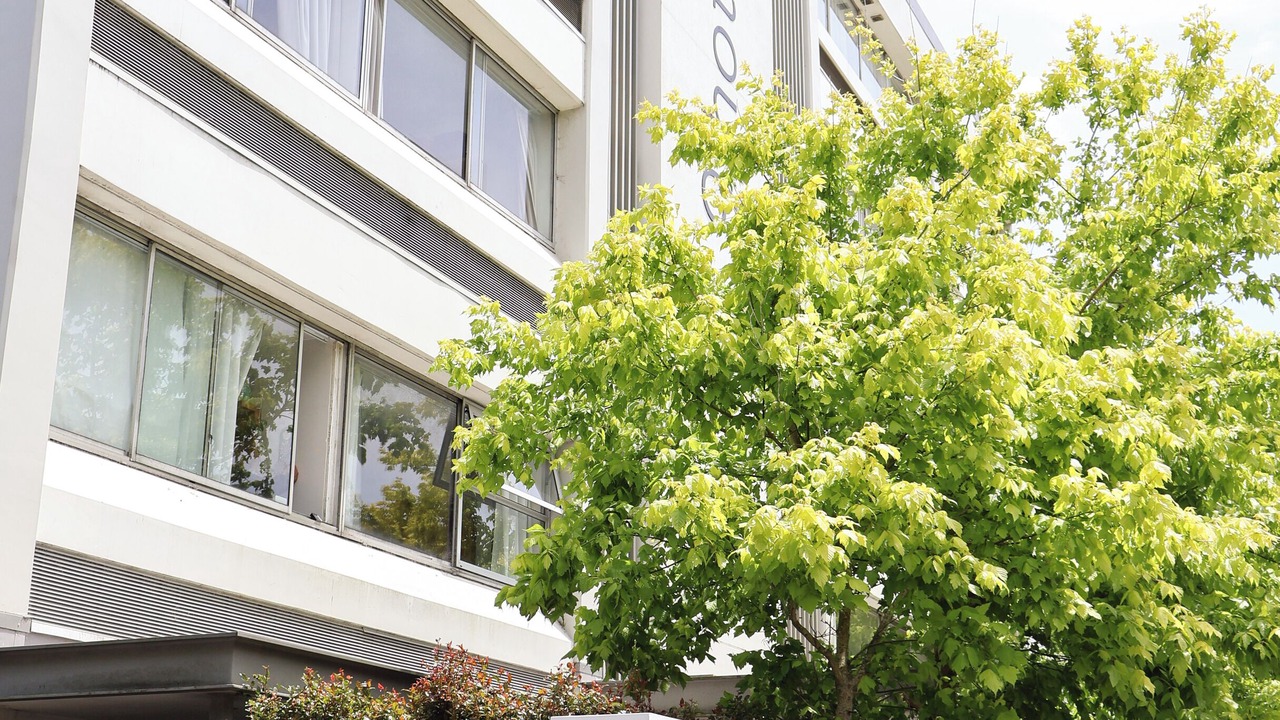 Photo of Outdoor in Epsom