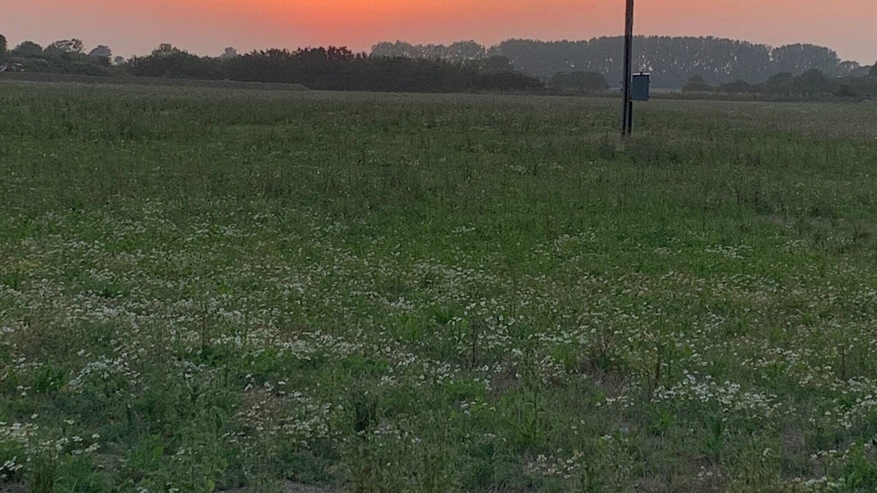 Photo of Outdoor in Willesborough