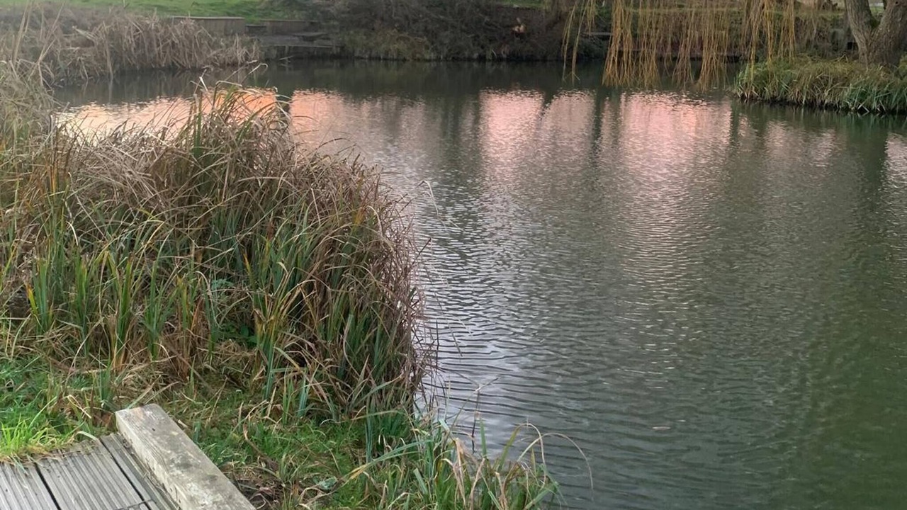 Photo of Outdoor in Willesborough