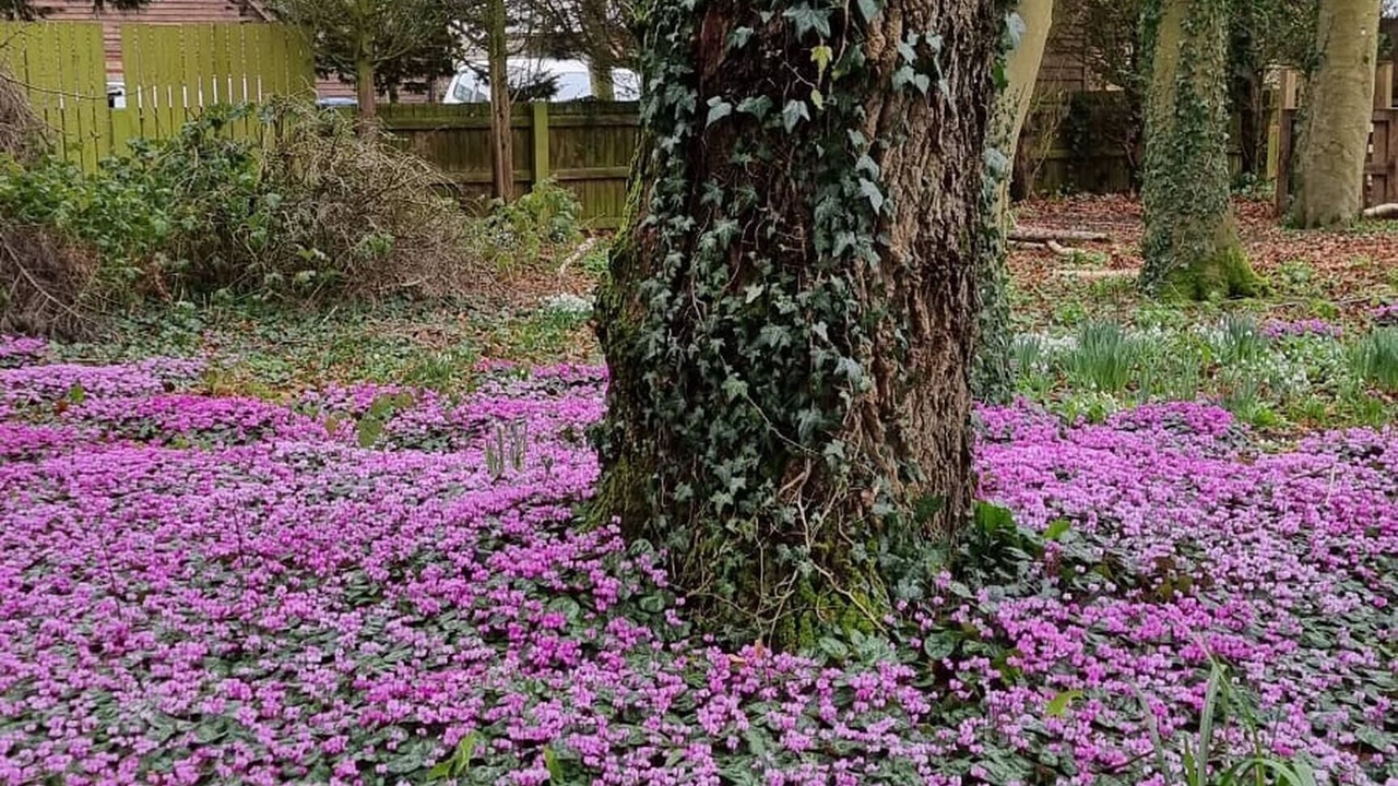 Photo of Outdoor in Willesborough