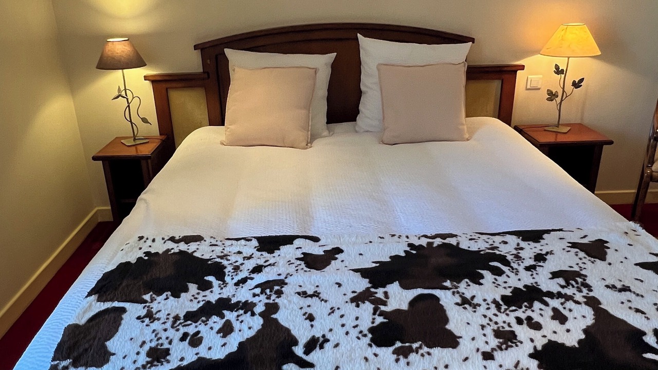 Photo of Bedroom in Vic-sur-Cere