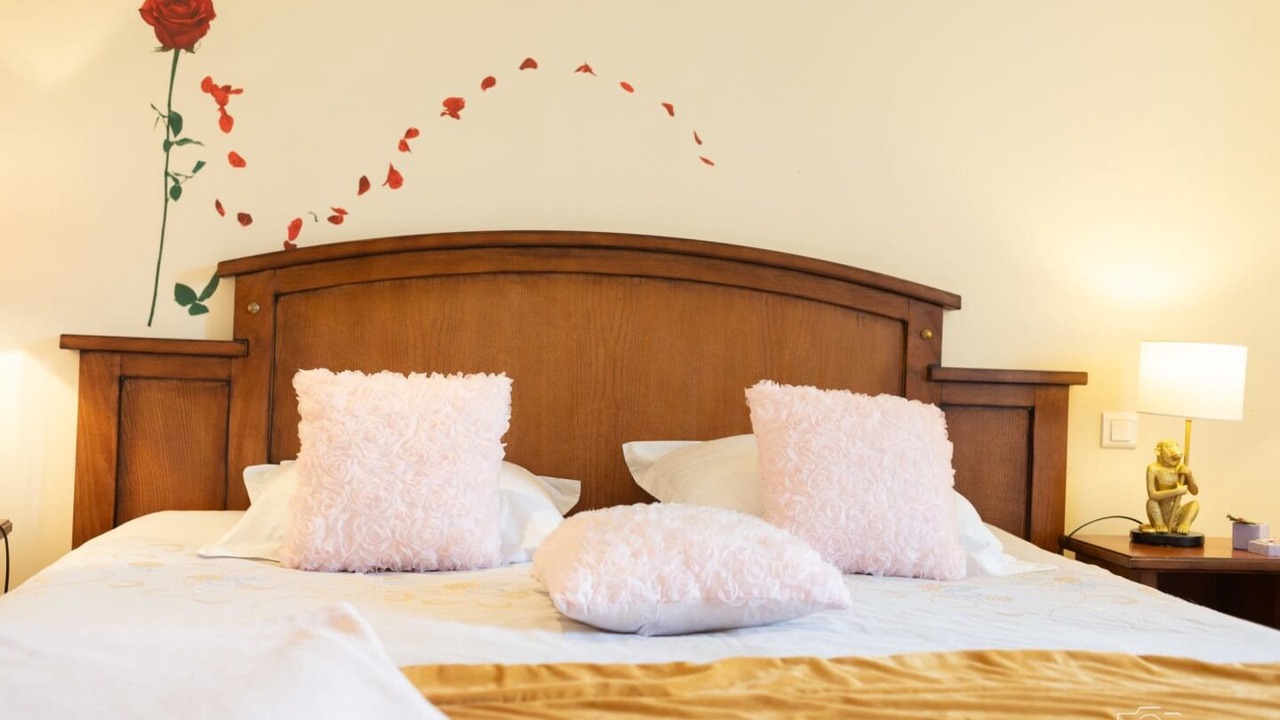 Photo of Bedroom in Vic-sur-Cere