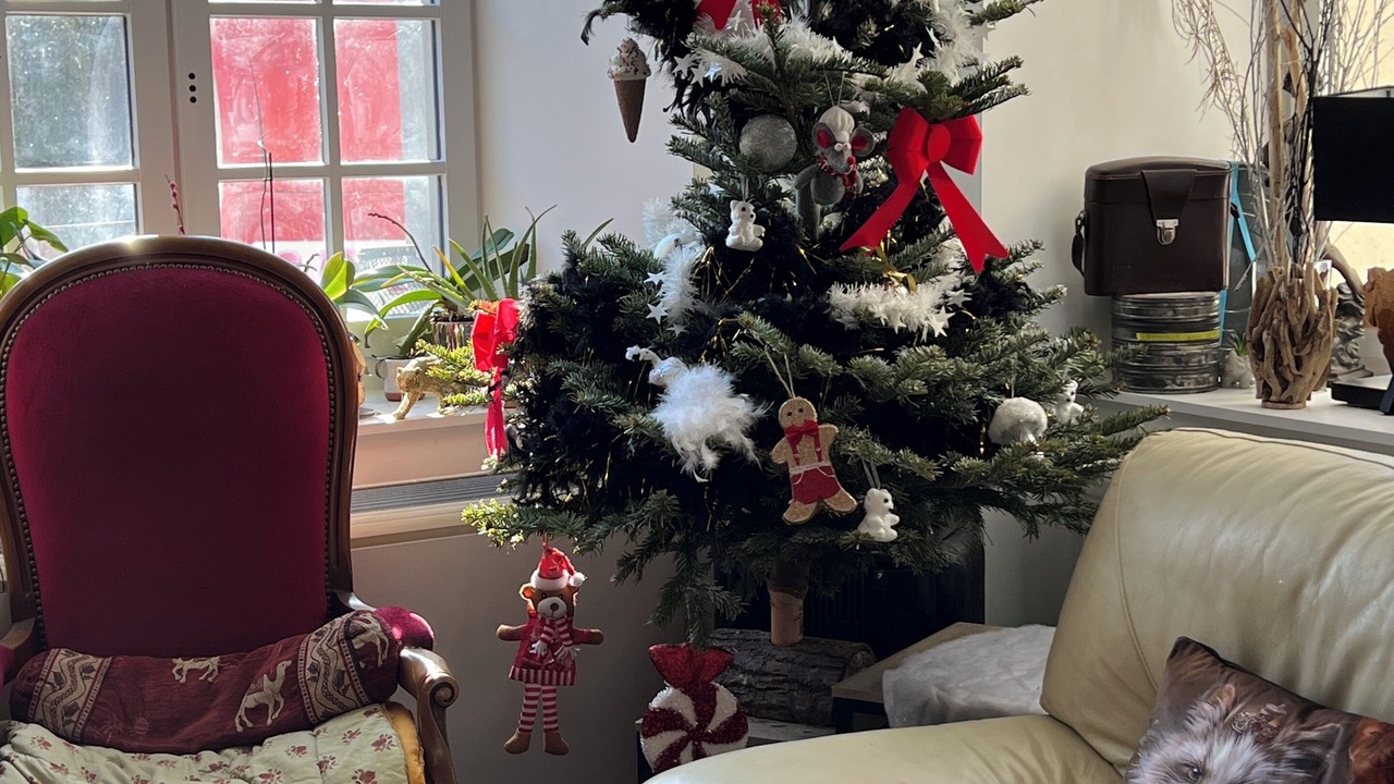 Photo of Others in Vic-sur-Cere