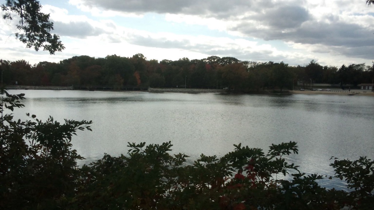 Photo of Outdoor in Dover