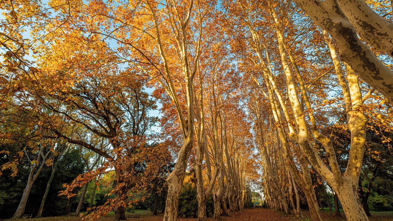 Photo of Outdoor in Manduel