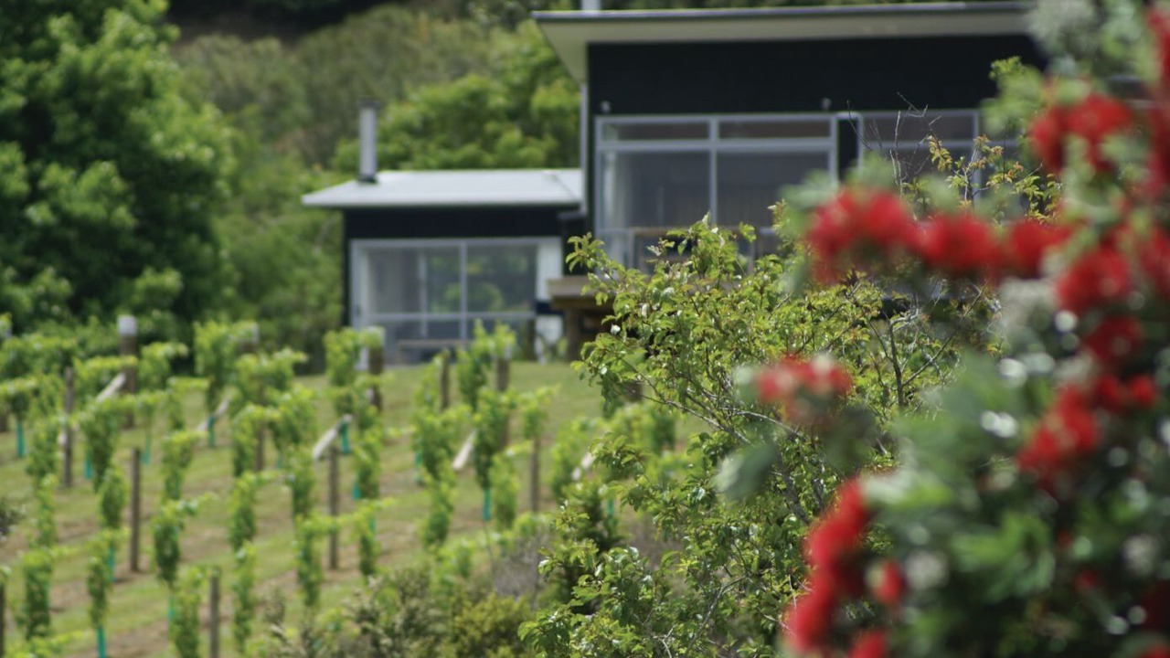 Photo of Outdoor in Matakana