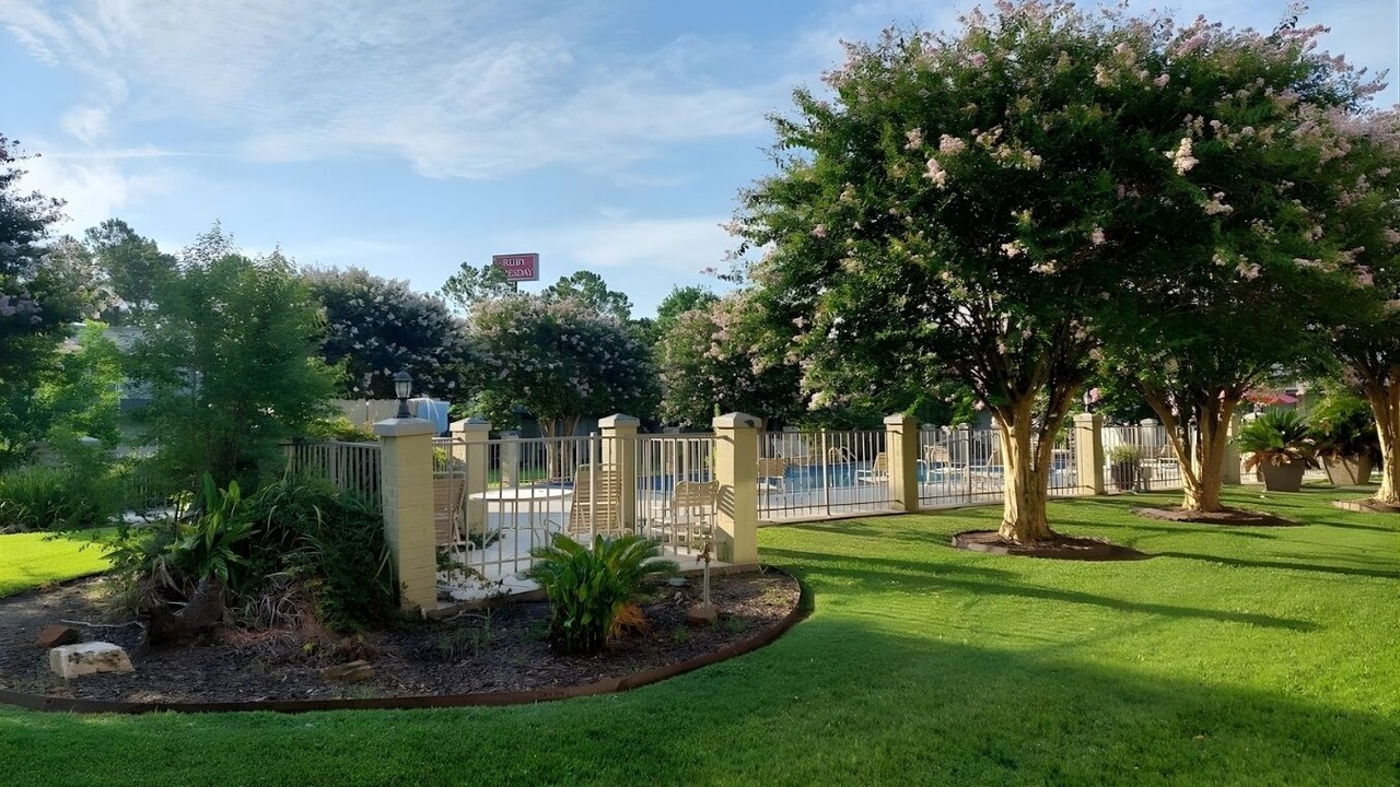 Photo of Outdoor in New Iberia
