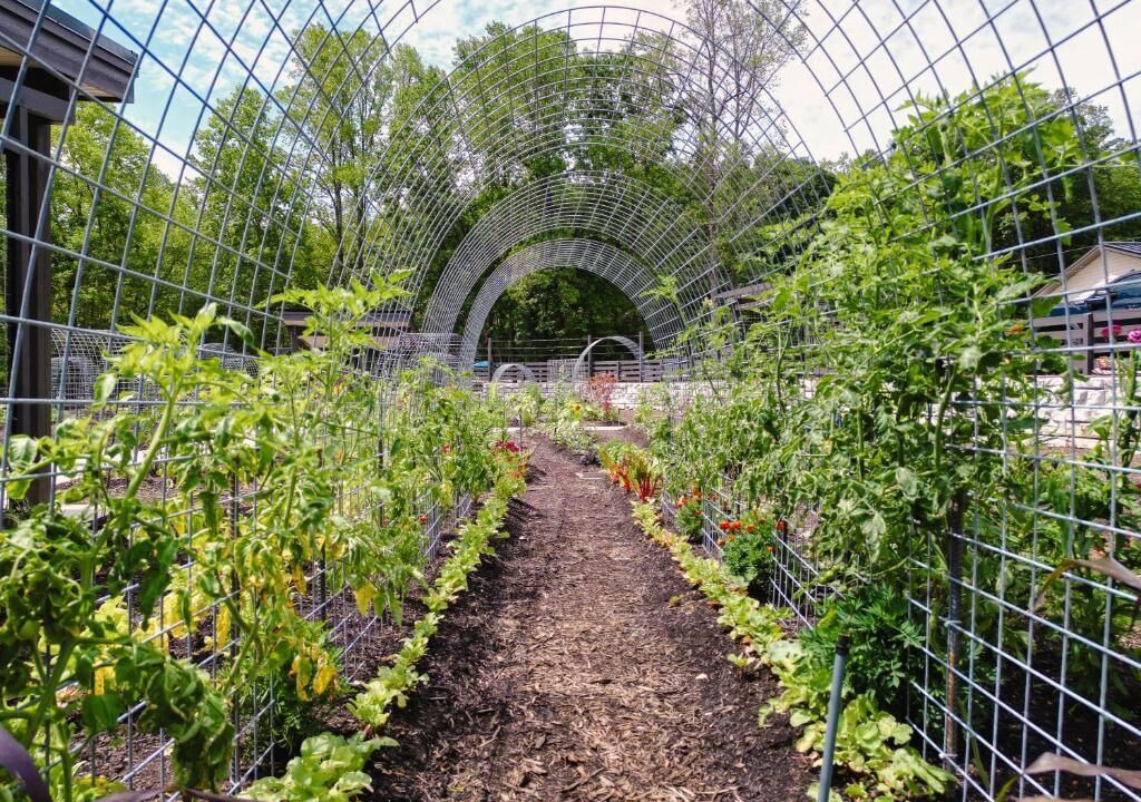 Photo of Outdoor in Balsam Grove