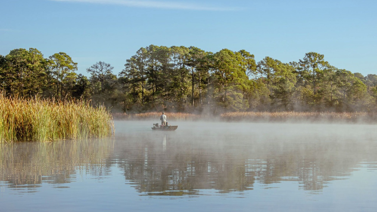 Photo of Outdoor in Camp Swift