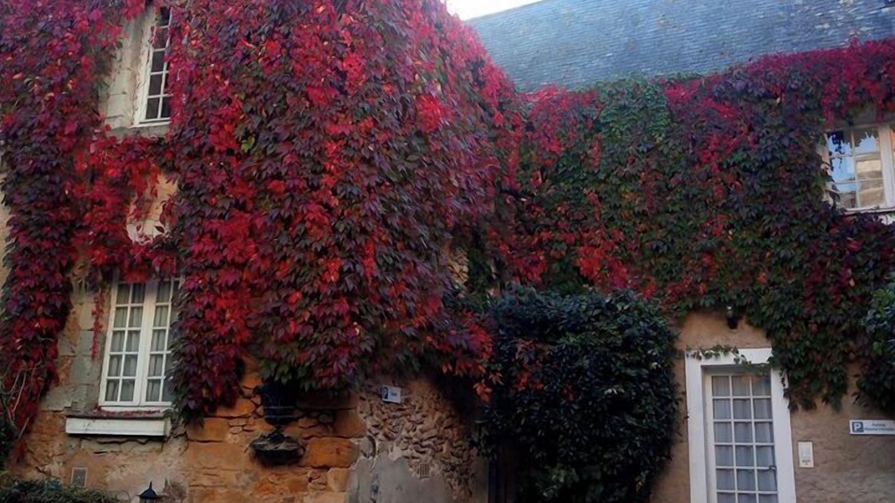 Photo of Outdoor in La Fleche