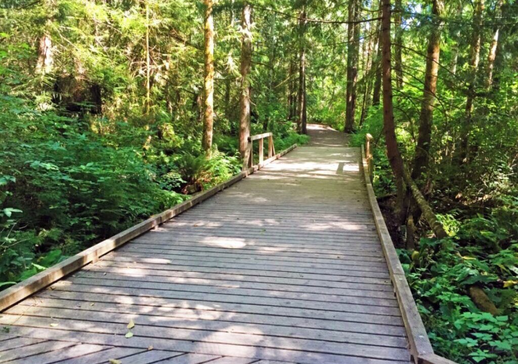 Photo of Outdoor in Gig Harbor