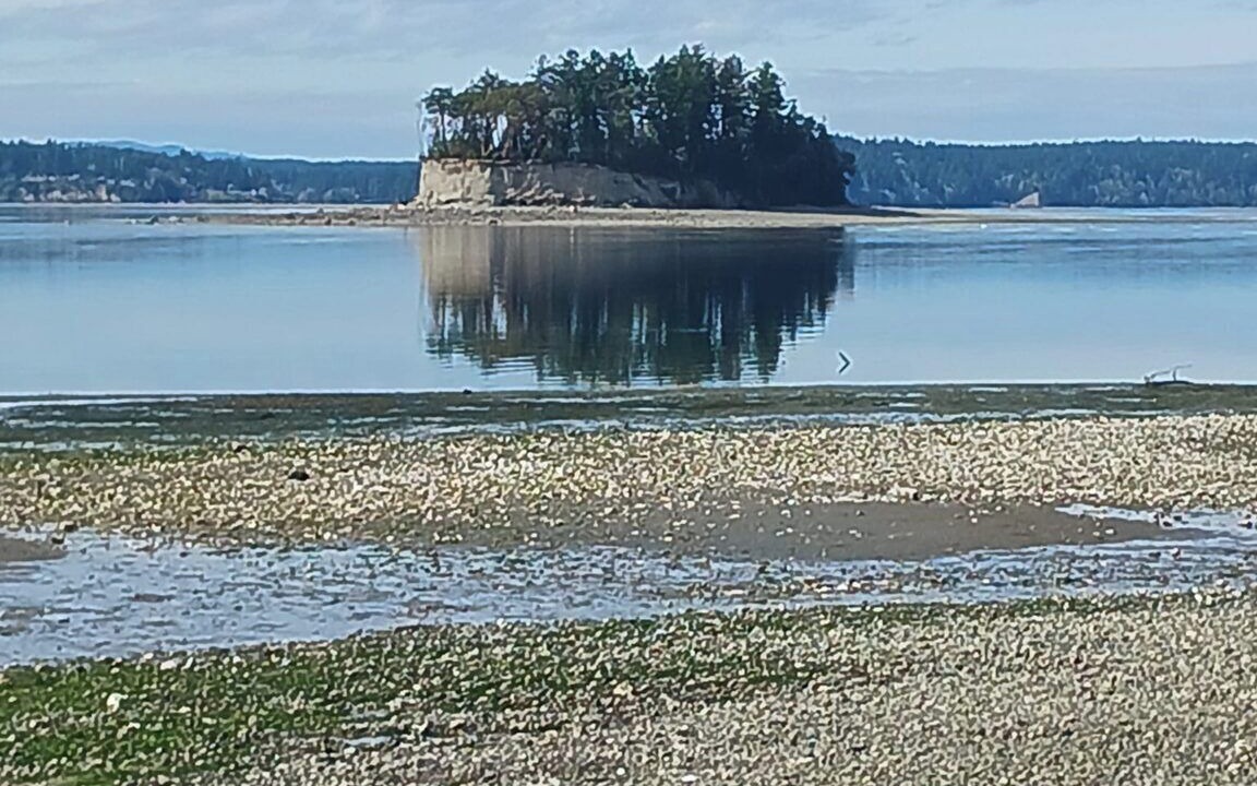 Photo of Others in Gig Harbor