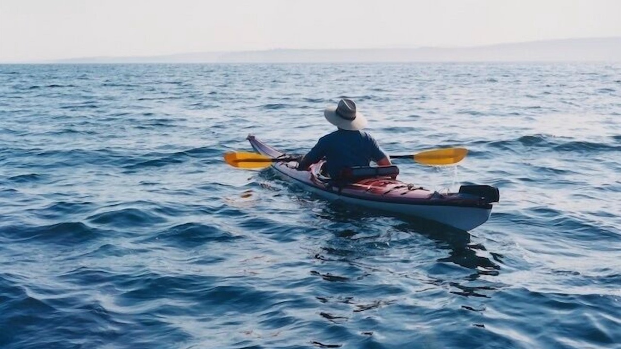 Photo of Others in Gig Harbor