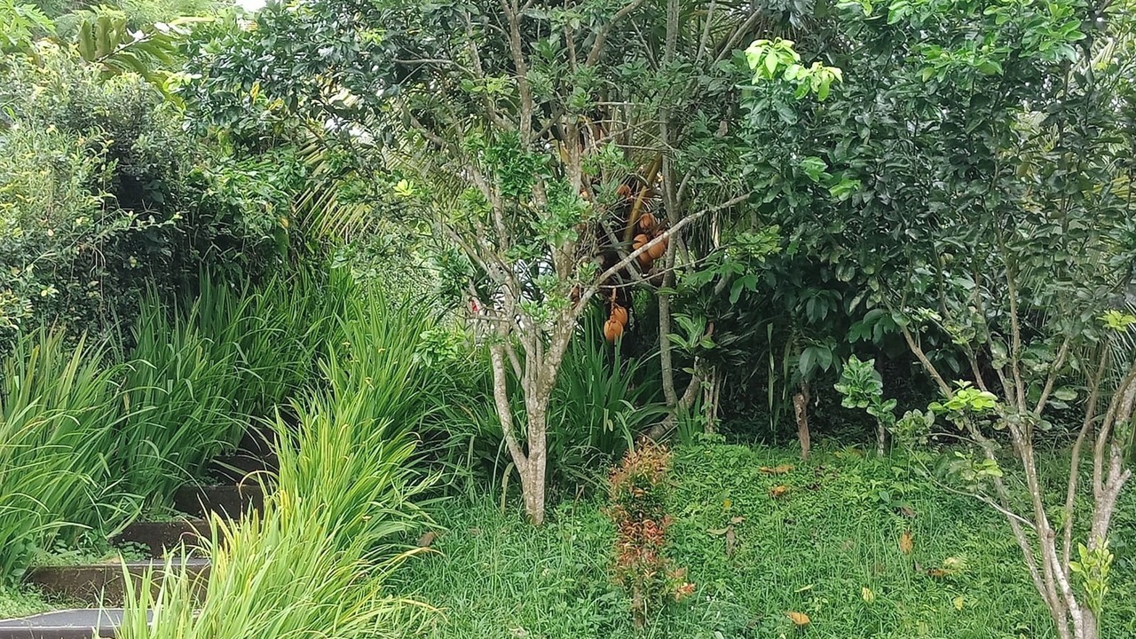 Photo of Others in Buahan