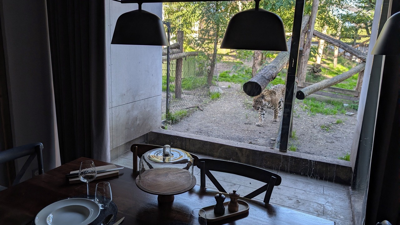 Photo of Outdoor in Pessac