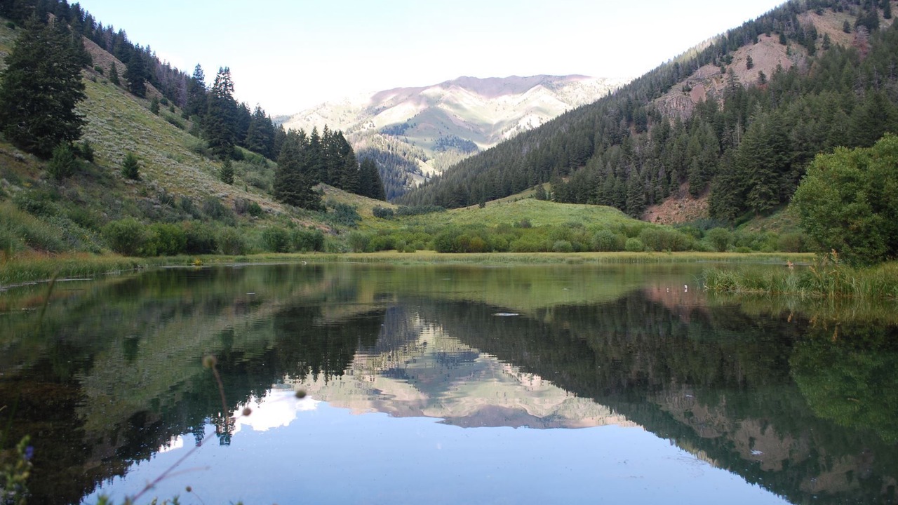Photo of Others in Warm Springs