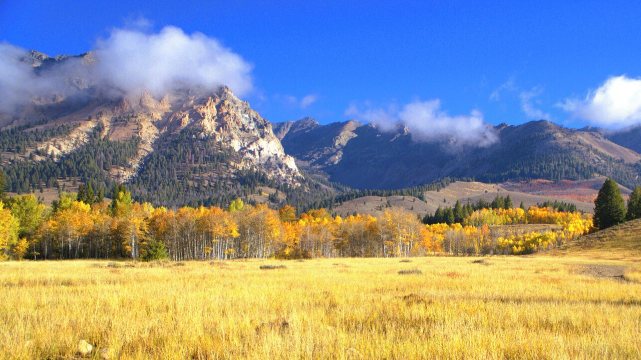 Photo of Outdoor in Board Ranch