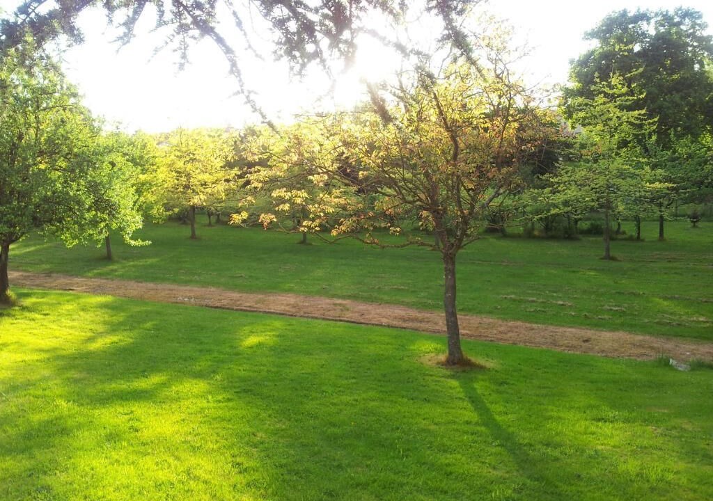 Photo of Outdoor in Chavagnes-en-Paillers