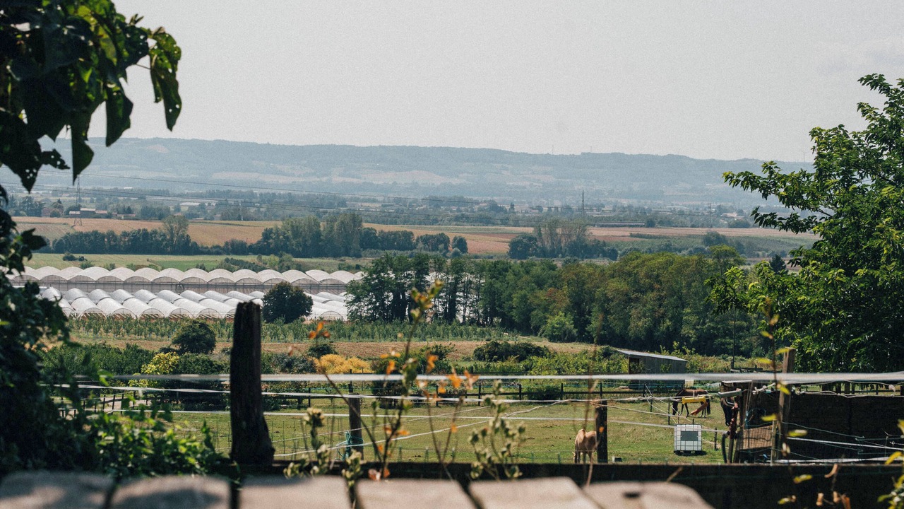 Photo of Outdoor in Anjou