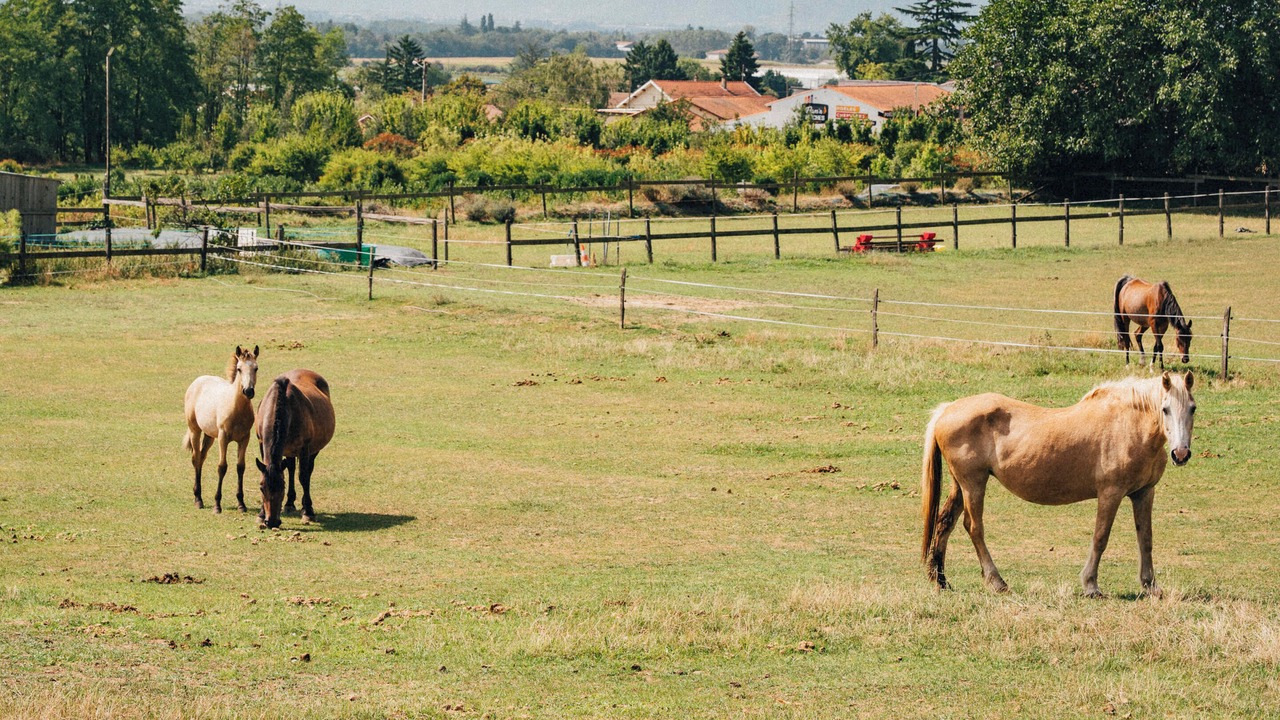 Photo of Outdoor in Anjou