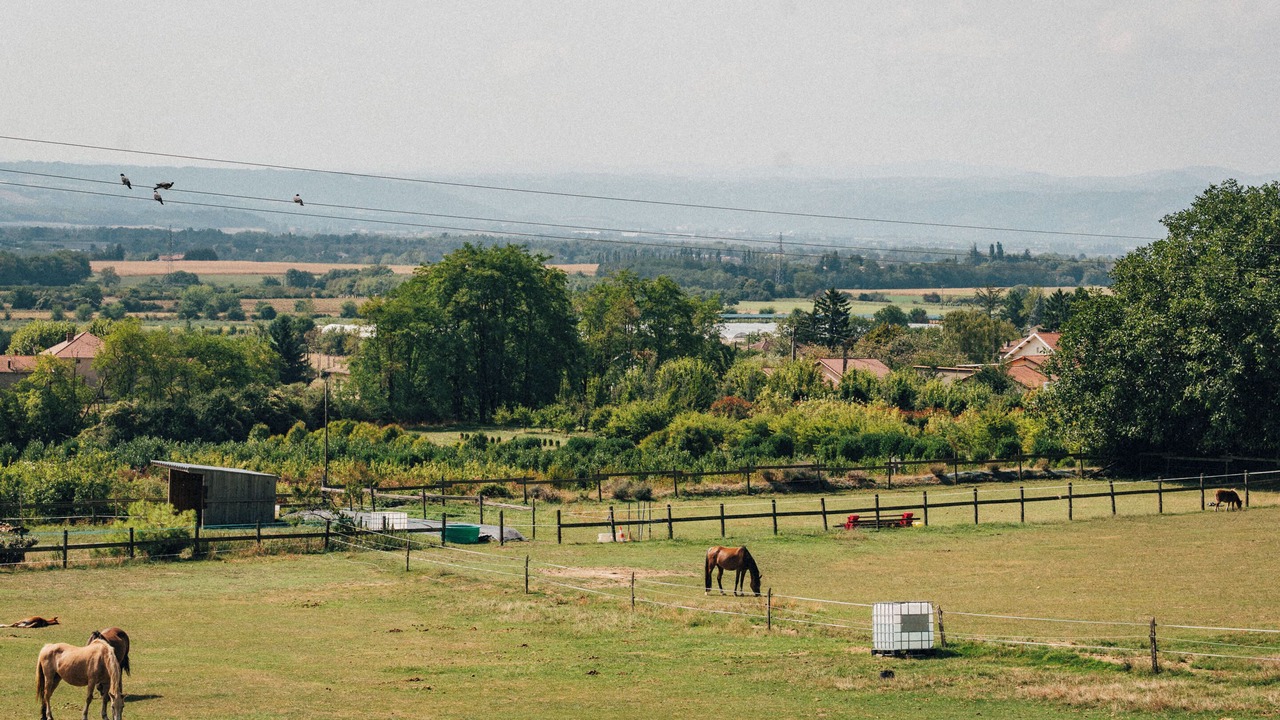 Photo of Outdoor in Anjou