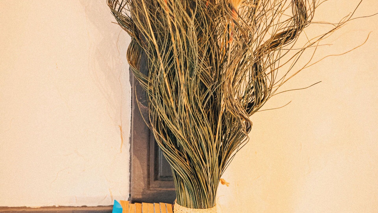 Photo of Bedroom in Anjou