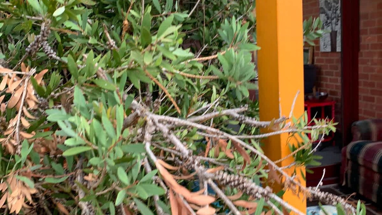 Photo of Others in Huntingdale