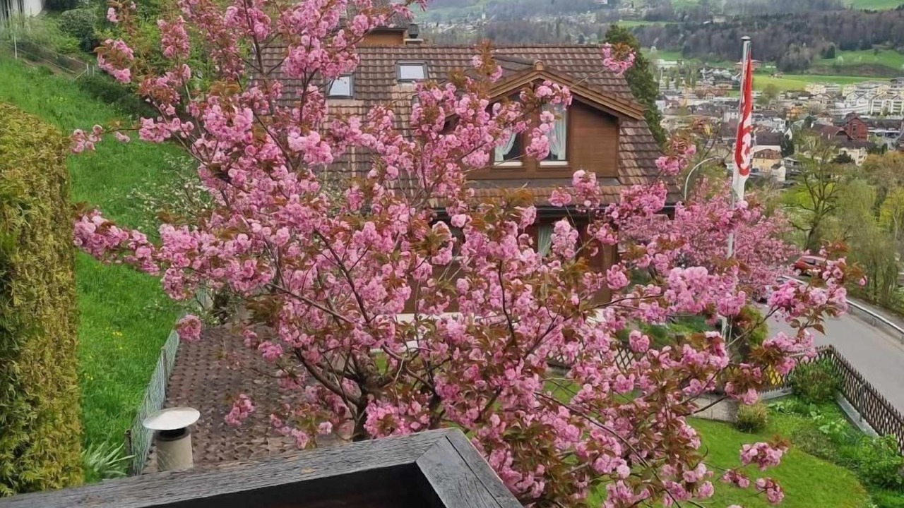 Photo of Outdoor in Tscheppach