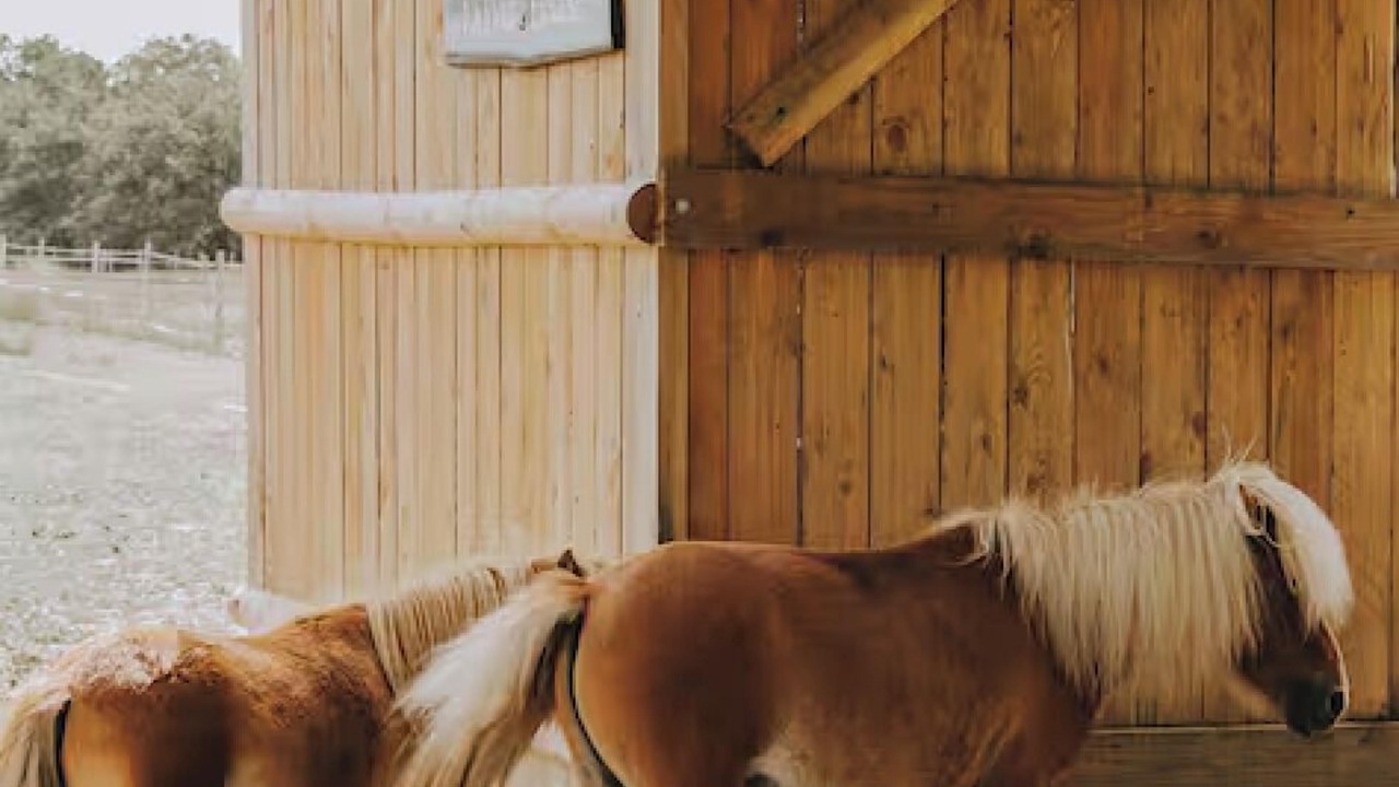 Photo of Outdoor in Loireauxence